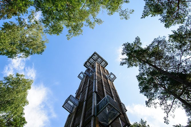 2 in 1: Sigulda and Jūrmala in a single daytrip (All Inclusive) - Jūrmala Open-Air Museum and Ragakapa dunes: start with story, not just scenery