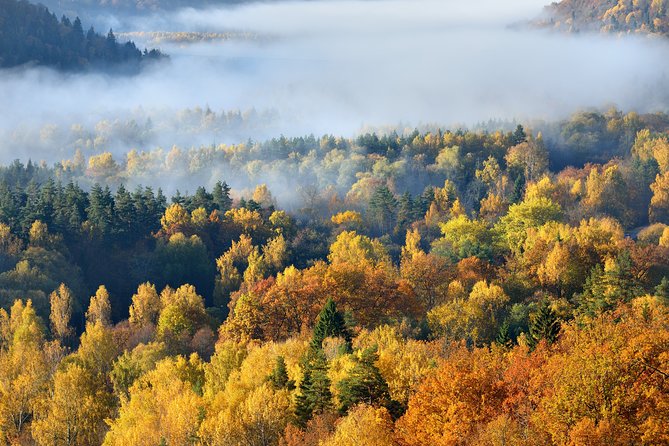 2 in 1: Sigulda and Jūrmala in a single daytrip (All Inclusive) - Sigulda Castle of the Livonian Order: crusaders, ruins, and a concentrated story