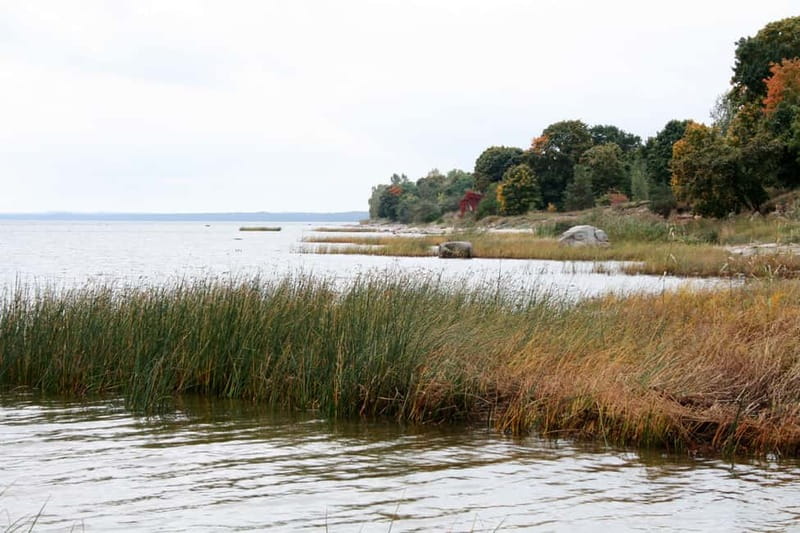 Baltic Sea Coastal Scenery and Cape Kolka From Riga - Guide quality matters on this kind of route