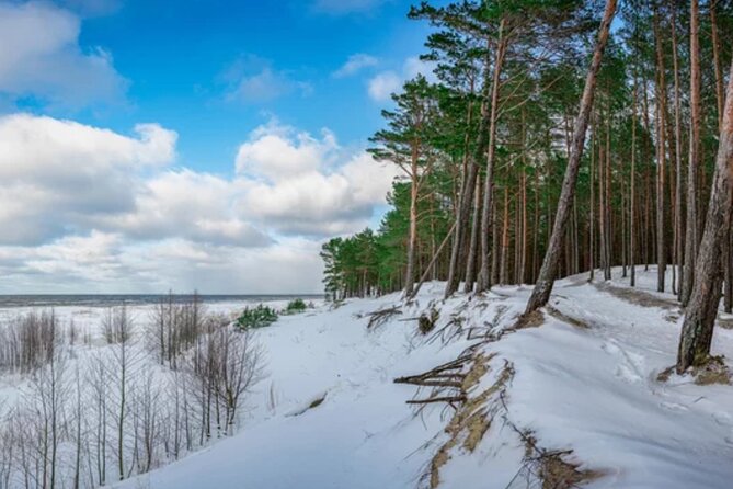 Best of Latvia, Jurmala, Kemeri N Park, Kuldiga City, Food & More - Kemeri National Park and the Great Bog Boardwalk