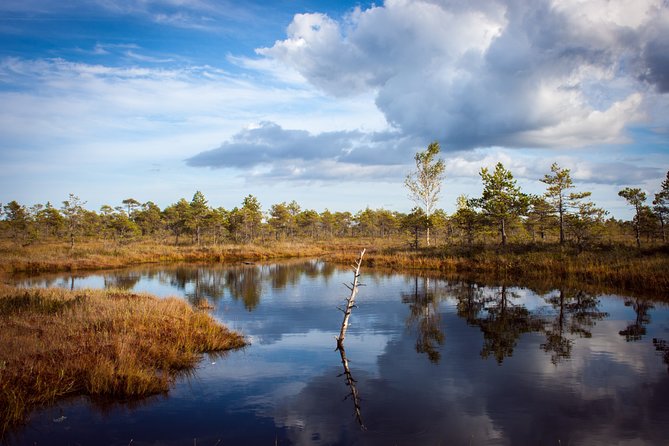 Bogs and Resorts in Jūrmala - Kemeri and Jūrmala in one day, without the transport headache