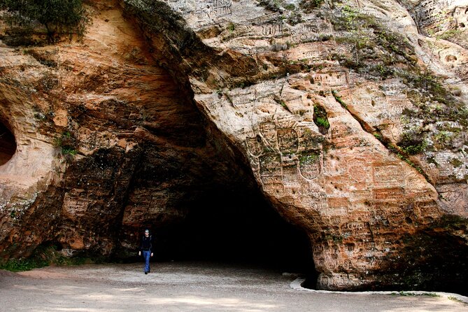 Day trip to Gauja National Park: animals, castles and a cave - Should you book this Riga to Gauja day trip?