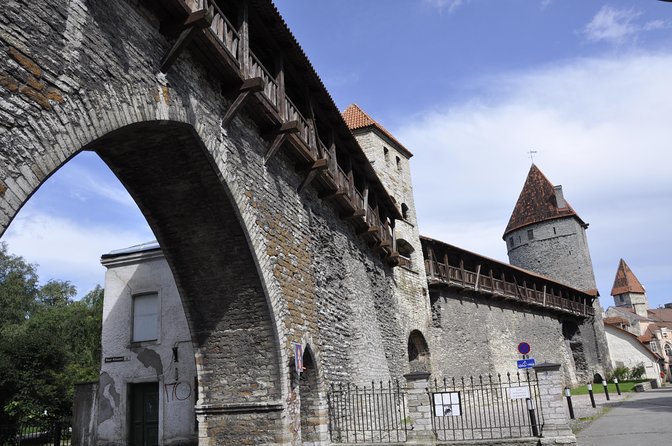 Day trip to Tallinn from Riga - Driving north with comfort, plus flexibility on the road