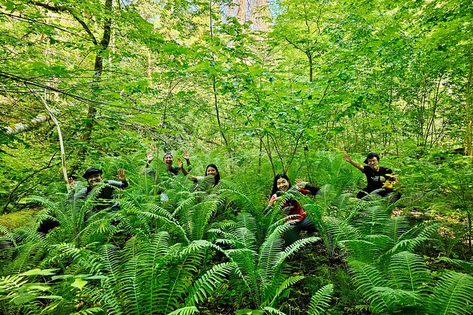 Discover Best Of Gauja National Park In One Day - Gauja National Park: your main hiking hit (8 to 12 km)