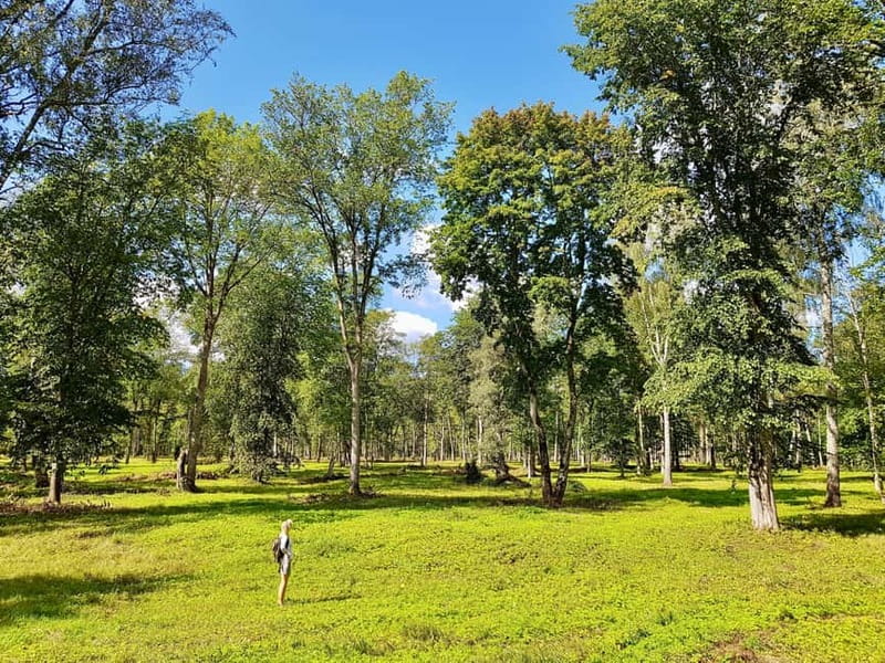 Discover Best of Sigulda and Gauja National Park In One Day - Gauja National Park Hiking: short trails, real mileage