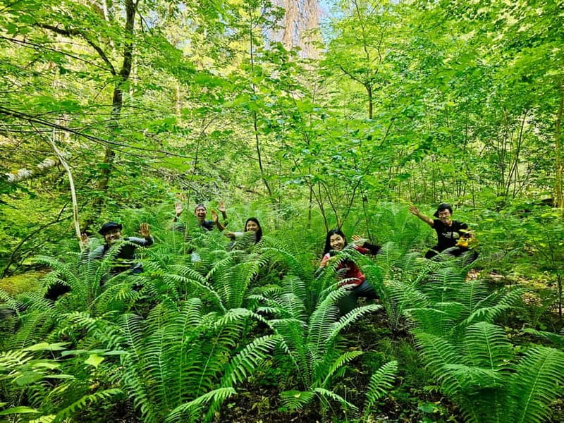 Discover Best of Sigulda and Gauja National Park In One Day - Meals, lunch, and how the day fuels you