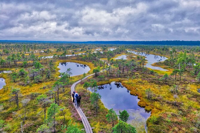 From Riga: Best of Kemeri National Park In One Day - Key highlights I think you will care about