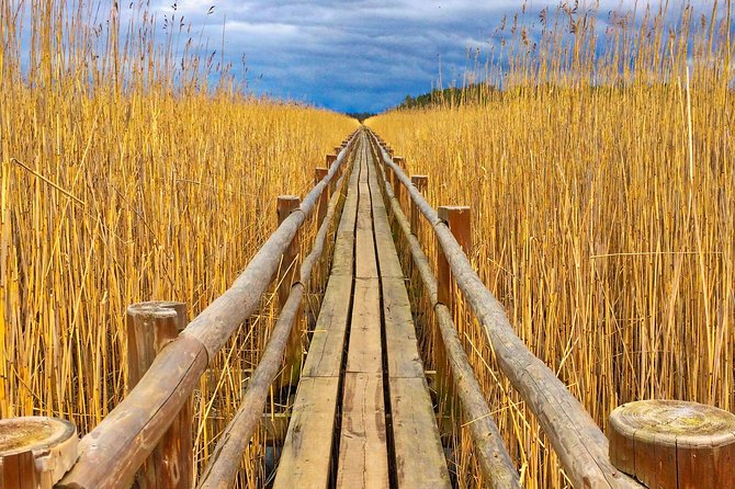 From Riga: Best of Kemeri National Park In One Day - Kemeri National Park in One Day, and why it feels worth it