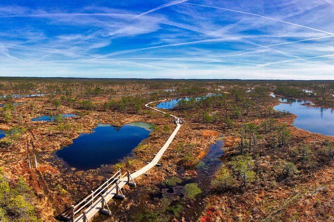 From Riga: Best of Kemeri National Park In One Day - Stop 1: Kemeri National Park and the Great Kemeri Bog Boardwalk