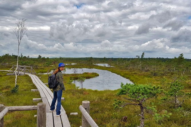 From Riga: Best of Kemeri National Park In One Day - Stop 2: Wet forests, sulphur springs, and how the area explains itself
