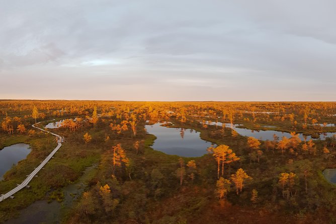 From Riga: Best of Kemeri National Park In One Day - Stop 3: Lake Kaņieris and the bird watching tower view