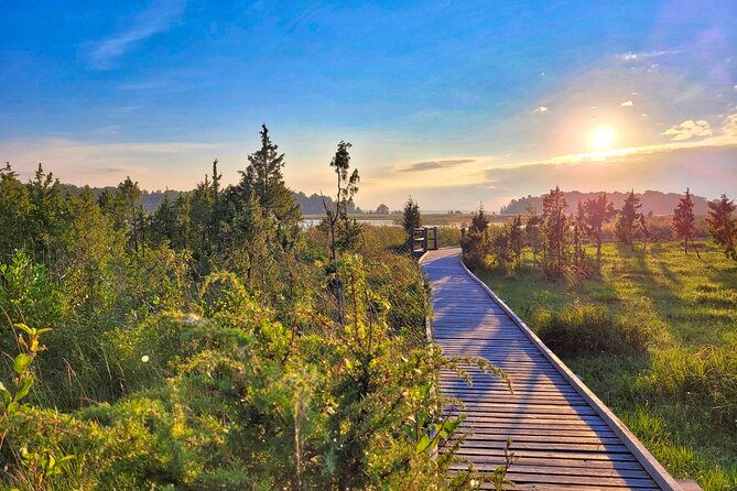 From Riga: Best of Kemeri National Park In One Day - The guide matters: Rolands and the improv-travel approach