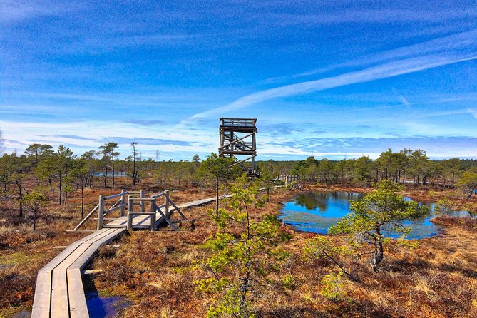 From Riga: Best of Kemeri National Park In One Day - The day’s flow: pickup, transfer time, and how long you are actually outside
