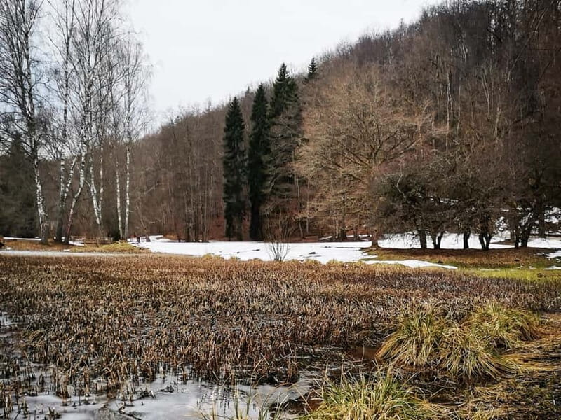 From Riga: Cesis and Sigulda Day Trip with Hotel Transfers - A Rural Detour for Breathing Room and Local Taste