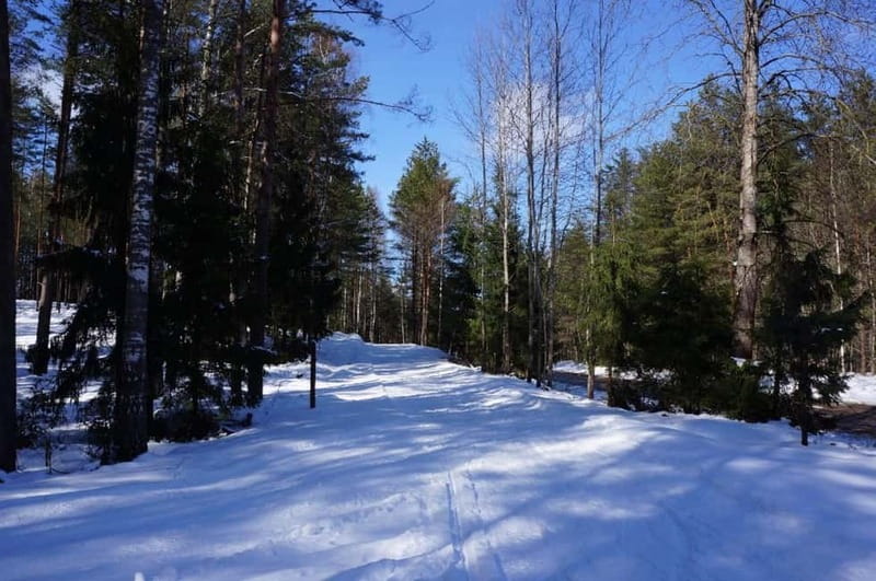 From Riga: Cross-country skiing and beating heart memorial - Getting fitted with cross-country rental gear that actually fits you