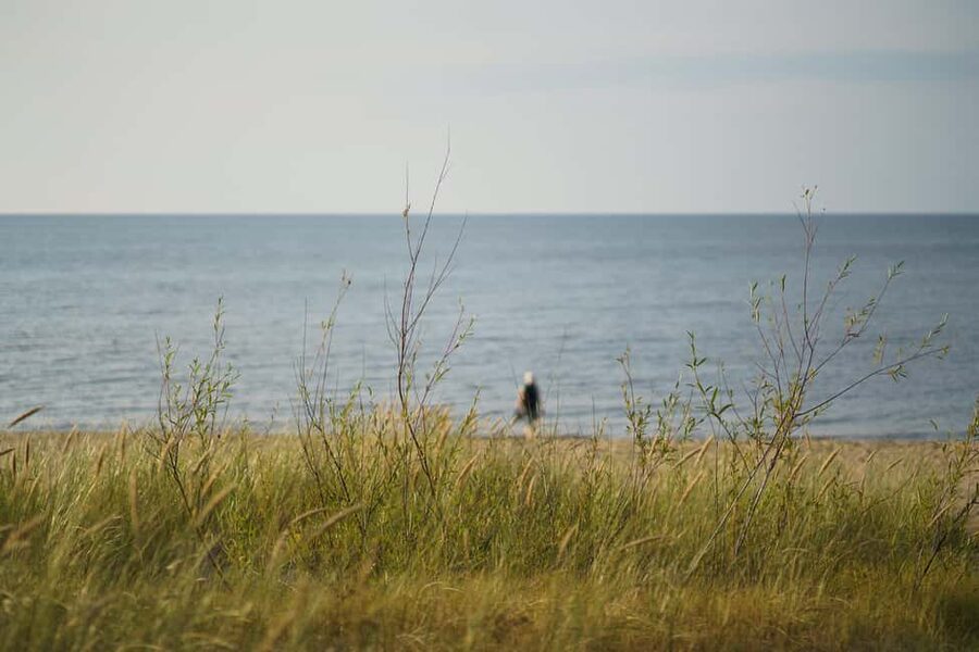 From Riga: Explore Latvian Nature With a Local Photographer - Key things you will enjoy on this Riga nature photo trip