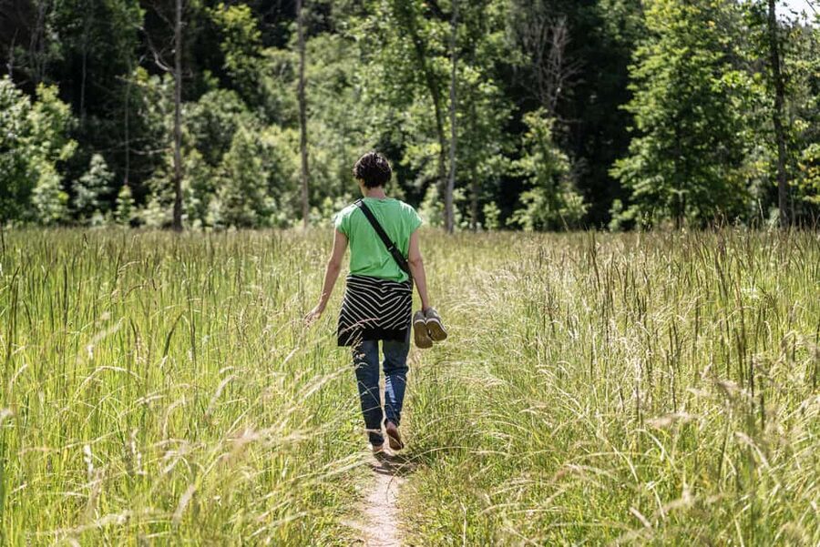 From Riga: Explore Latvian Nature With a Local Photographer - The drive out of Riga: more than just transportation