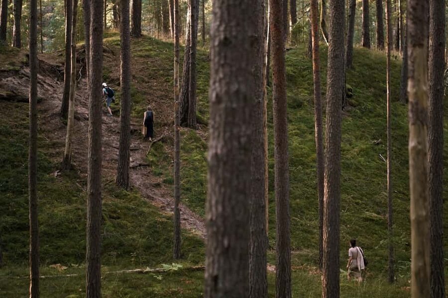 From Riga: Explore Latvian Nature With a Local Photographer - Roadside stops and smalltown cafes on longer tours