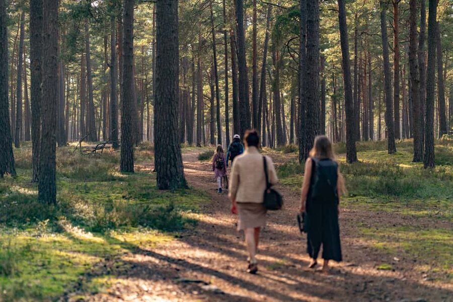 From Riga: Explore Latvian Nature With a Local Photographer - How Valdis plans your day: flexible, not scripted