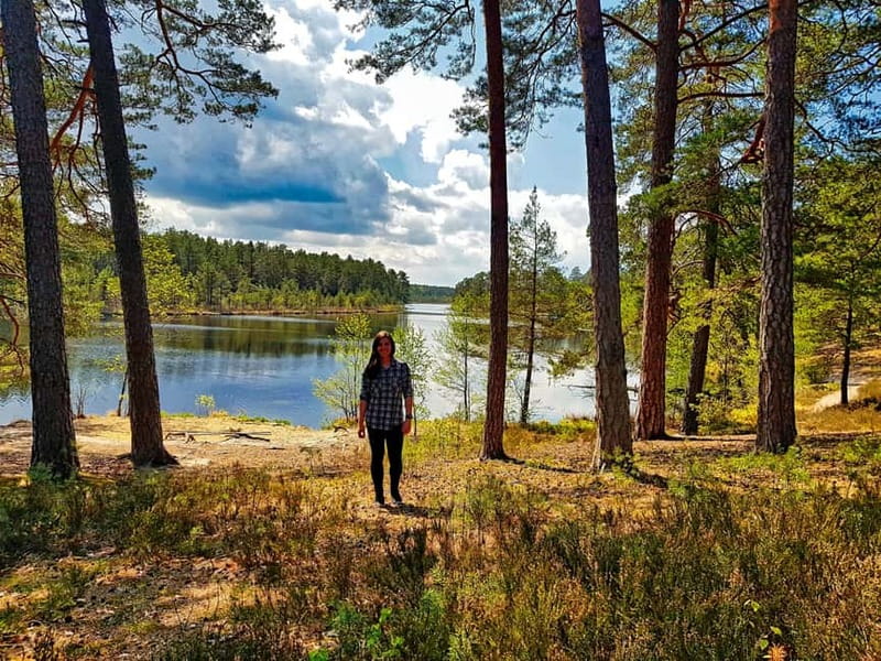 From Riga: Four Natural Ecosystems In One Hike - Key Things to Know Before You Go
