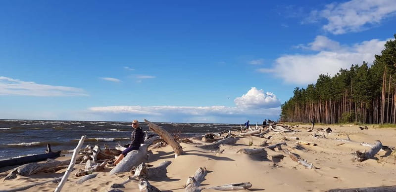 From Riga: Four Natural Ecosystems In One Hike - Why Piejūra Near Riga Feels Like a Small-World Adventure