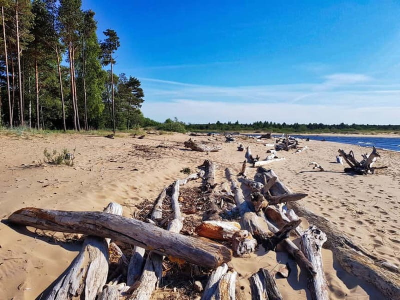 From Riga: Four Natural Ecosystems In One Hike - Guides Who Make Nature Talk Feel Personal