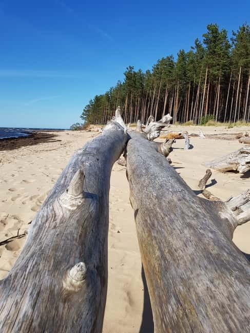 From Riga: Four Natural Ecosystems In One Hike - Pacing, Difficulty, and Who This Hike Fits Best