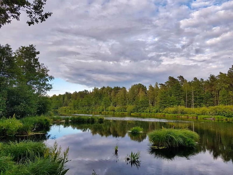 From Riga: Four Natural Ecosystems In One Hike - Price and Value at $147: What You’re Really Paying For