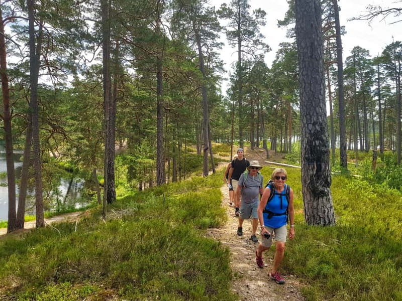 From Riga: Four Natural Ecosystems In One Hike - Seasonal Reality: May to July Changes the Gauja Delta Plan