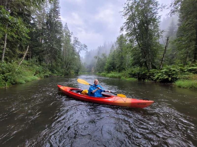 From Riga: Full-Day Scenic Gauja River Valley Kayaking Trip - The 15 to 20 km Downstream Route, Plus Real-Time Pace Control