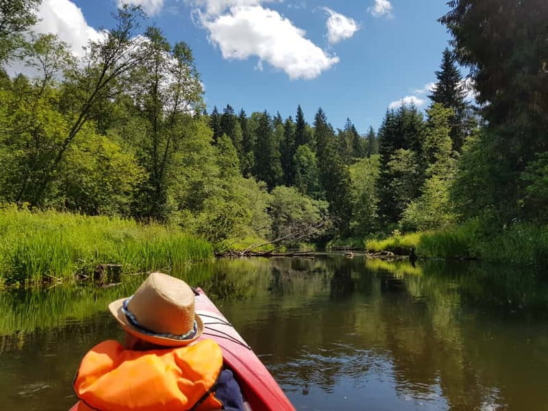 From Riga: Full-Day Scenic Gauja River Valley Kayaking Trip - Steep Banks and Sandstone Cliffs You Only See From the Water