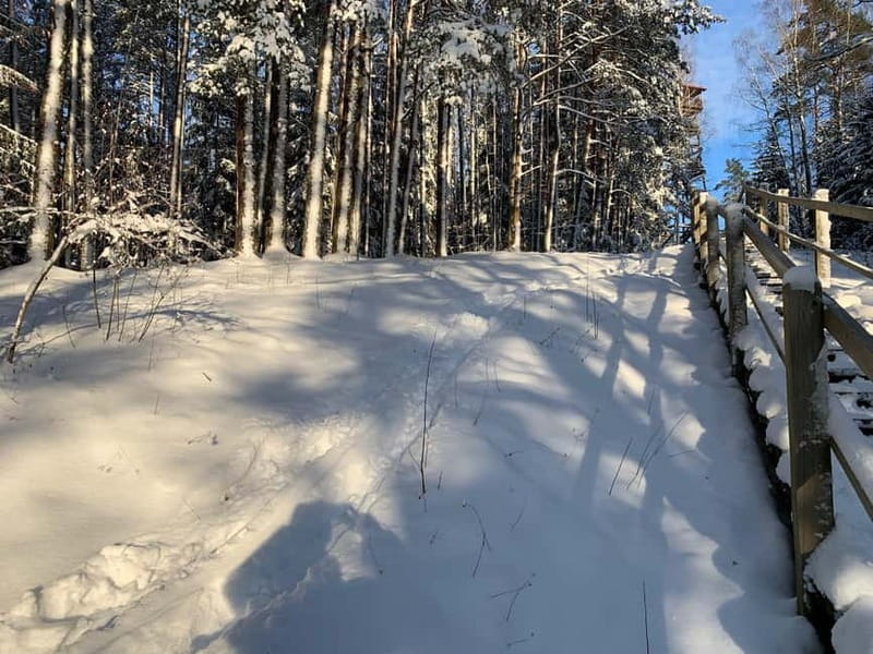 From Riga: Husky Sledding or Wheel Kart Tour - Tea, gingerbread, and Riga Black Balsam tasting, a smart warm-up