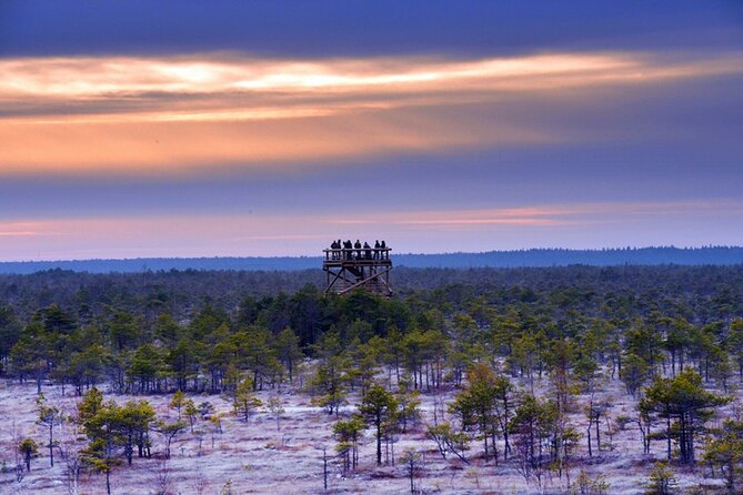 From Riga: Jurmala and Kemeri National Park Tour + Baltic Sea - Key Things to Know Before You Go
