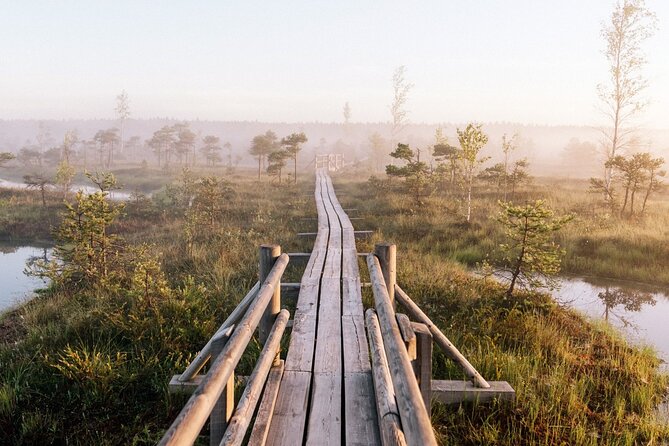 From Riga: Jurmala and Kemeri National Park Tour + Baltic Sea - Stop 1: Lielā Ķemeru tīreļa laipa Boardwalk and the Bog Tower
