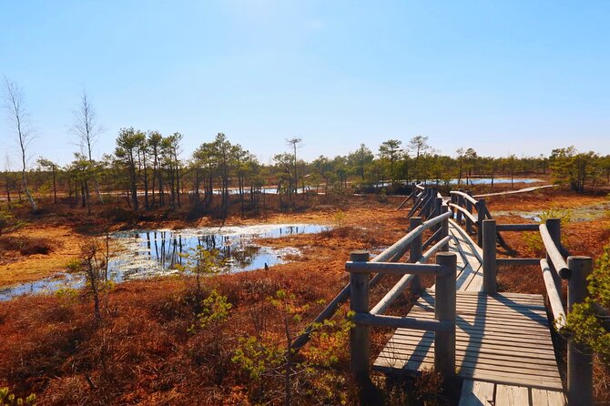From Riga: Jurmala and Kemeri National Park Tour + Baltic Sea - Stop 4: Dzintari Seaside for Baltic Air and Sand Views