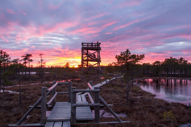 From Riga: Jurmala and Kemeri National Park Tour + Baltic Sea - Stop 2: Ķemeru Resort Park for Bridges, Pavilions, and a Calm Reset