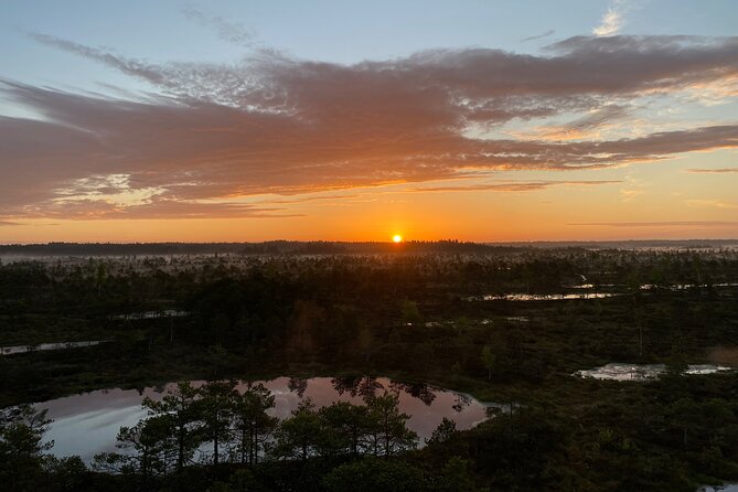 From Riga: Kemeri Bog Boardwalk and Jurmala Seaside - Key things to know before you go
