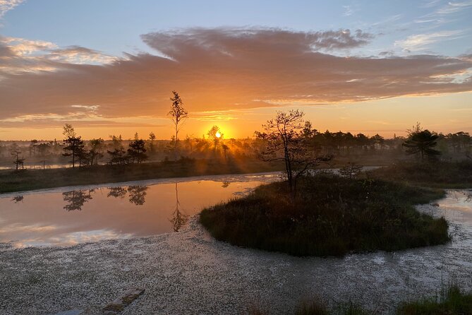 From Riga: Kemeri Bog Boardwalk and Jurmala Seaside - Stop 1 in Ķemeri National Park: The Bog Boardwalk Walk