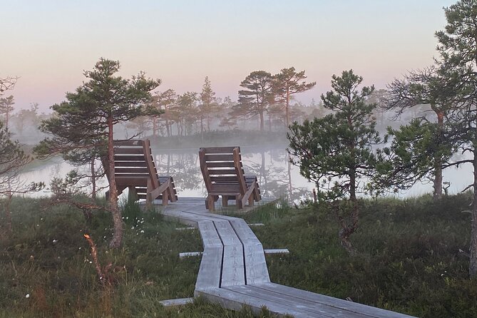 From Riga: Kemeri Bog Boardwalk and Jurmala Seaside - Dzintari Forest Park Tower and Dzintari Concert Hall Views