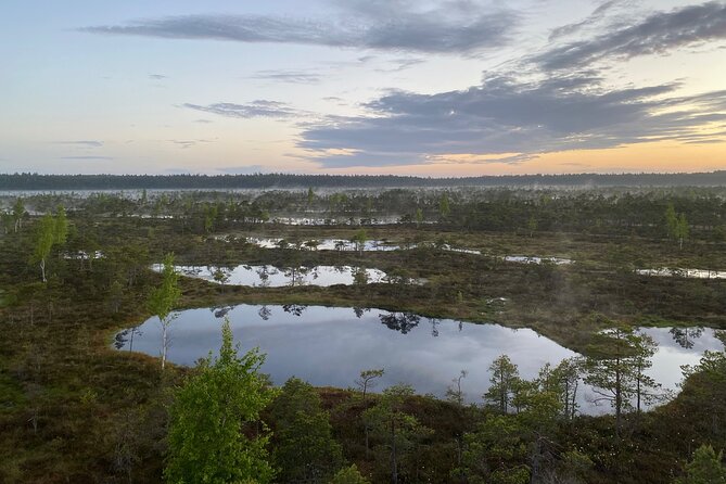 From Riga: Kemeri Bog Boardwalk and Jurmala Seaside - Price and Value: Is $114.28 a Fair Deal?