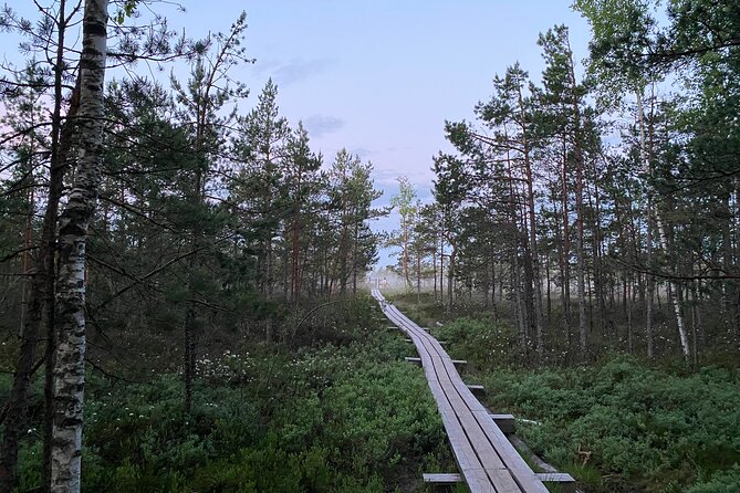 From Riga: Kemeri Bog Boardwalk and Jurmala Seaside - Timing, Meeting Point, and Why the Day Doesn’t Drag