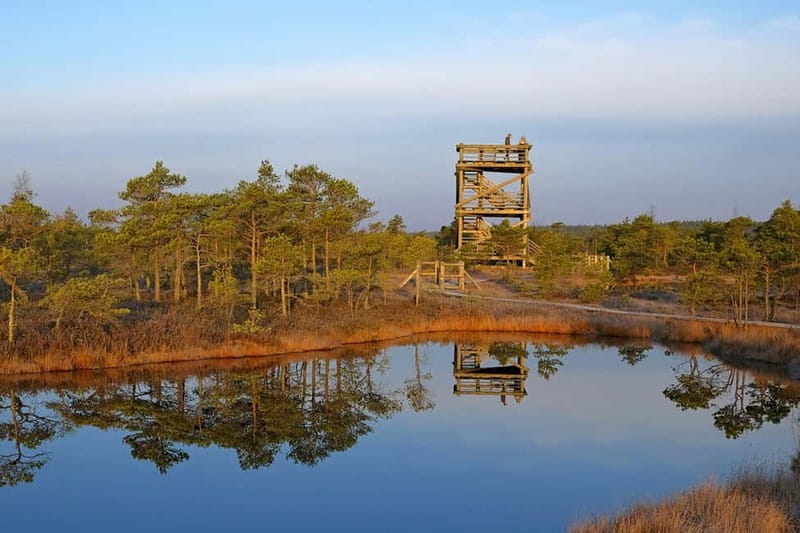 From Riga: Kemeri National Park and Kuldiga Tour - Kemeri National Park bog boardwalk: your first big views in 1.5 hours