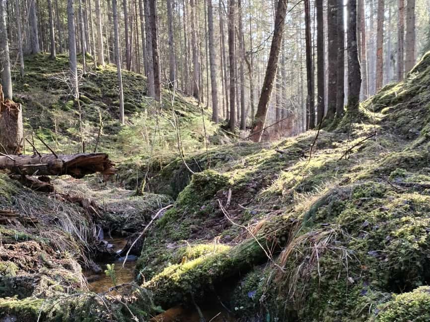 From Riga: Ligatne Village and Gauja River National Park … - The Soviet nuclear shelter and the rehabilitation center above it