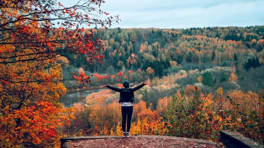 From Riga: Sigulda and Turaida Legends Tour - Key Highlights You’ll Care About