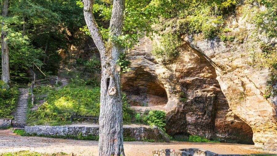 From Riga: Sigulda Top Sights & Wine Tasting - Ligatne, the Paper Mill Village, and Why the Cave Tasting Fits