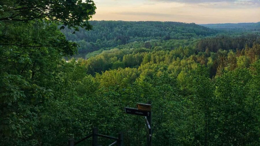 From Riga: Sigulda Top Sights & Wine Tasting - The Price and Value Question: $153 for 6 Hours