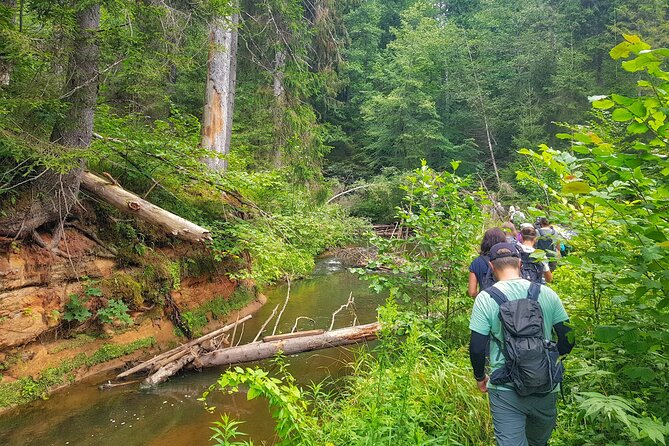 Full Day Gauja National Park Ultimate Hiking & Sightseeing Trip - Morning Pickup From Riga, Then Straight Into Gauja National Park
