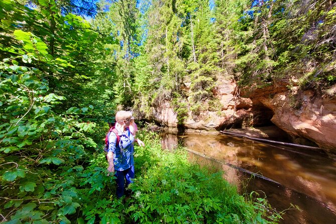 Full Day Gauja National Park Ultimate Hiking & Sightseeing Trip - Weather, Timing, and Fitness: How to Pack for a Full Day Outside