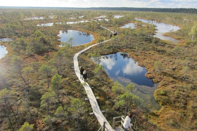 Full-Day Private Trip to Jurmala, Fisherman Villages and Nature Trails from Riga - Kemeri National Park boardwalk: 3 km across raised moss marsh