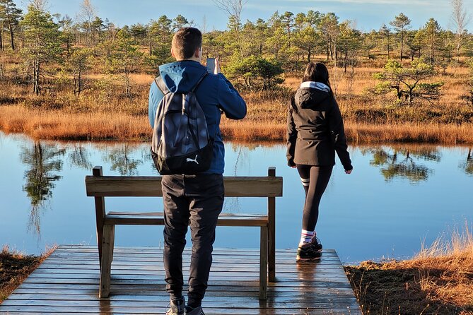 Great Ķemeri Bog and Swamp Forest Hiking Adventure - Stop 1: Ķemeri National Park boardwalk time in the Great Ķemeri Bog